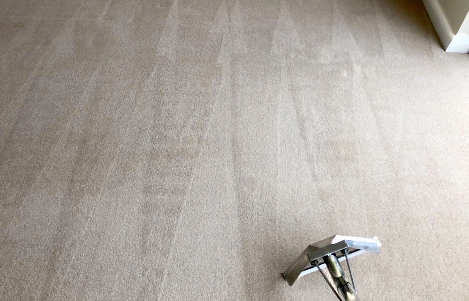 St Neots Carpet Cleaning OneStop Cleaning Solutions